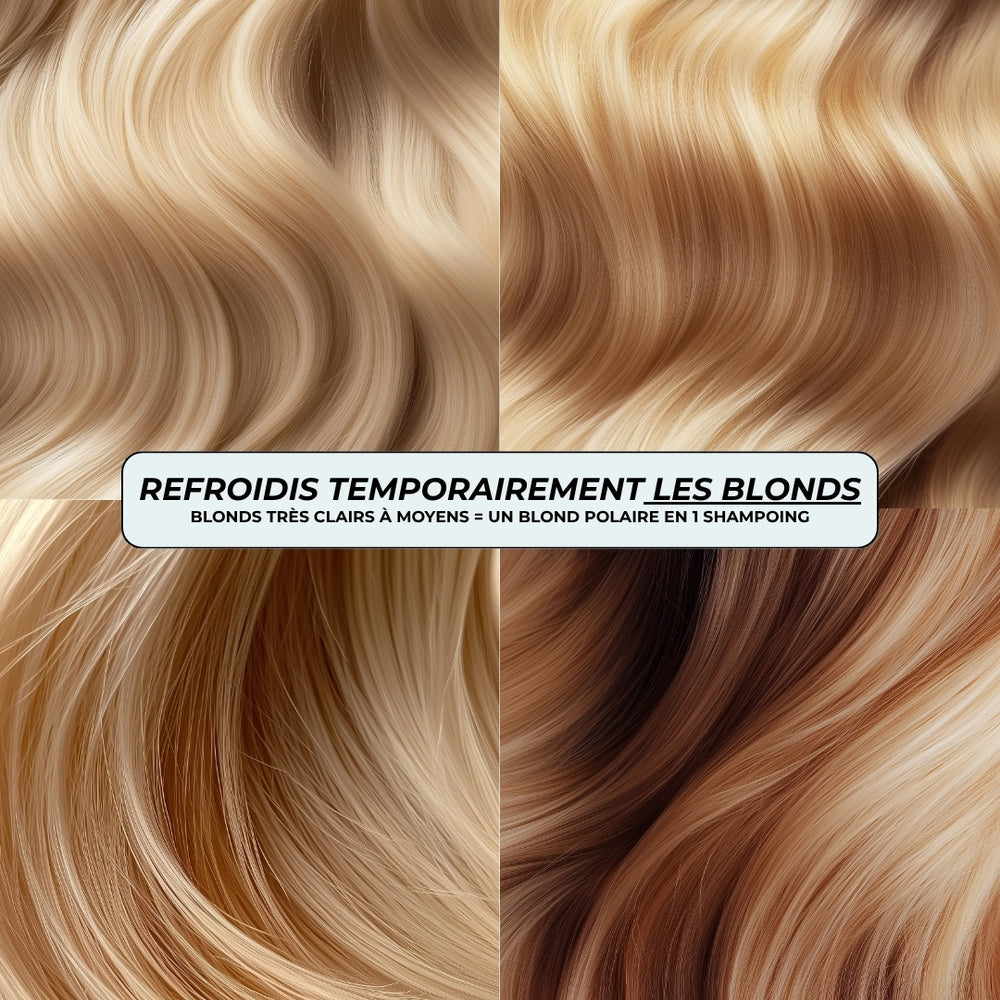 Shampoing violet