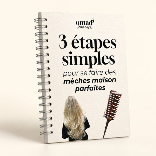 Couverture ebook Guide meches de reve